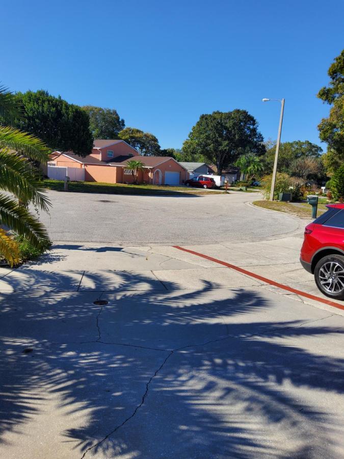 Beautiful Apartment Close To Everything Τάμπα Εξωτερικό φωτογραφία
